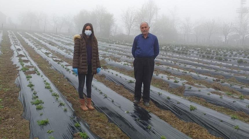 Ala&ccedil;am&rsquo;da &ccedil;ilek yetiştiriciliği teşvik ediliyor