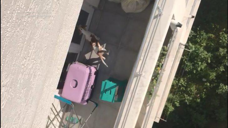 Üniversiteli komşusunun köpeğine kötü davranışını görüntüledi G2