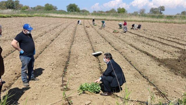 Çanakkale’de tarımsal üretim kesintisiz sürdürülüyor