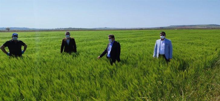 Çanakkale’de tarımsal üretim kesintisiz sürdürülüyor G2