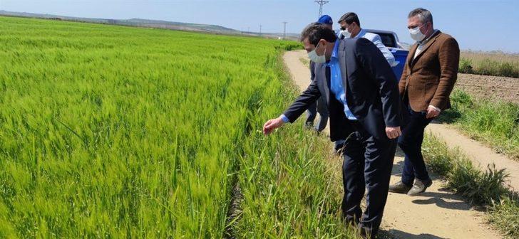 Çanakkale’de tarımsal üretim kesintisiz sürdürülüyor G3
