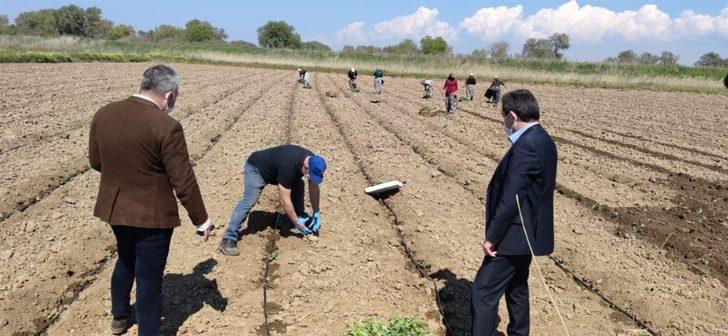 Çanakkale’de tarımsal üretim kesintisiz sürdürülüyor G4
