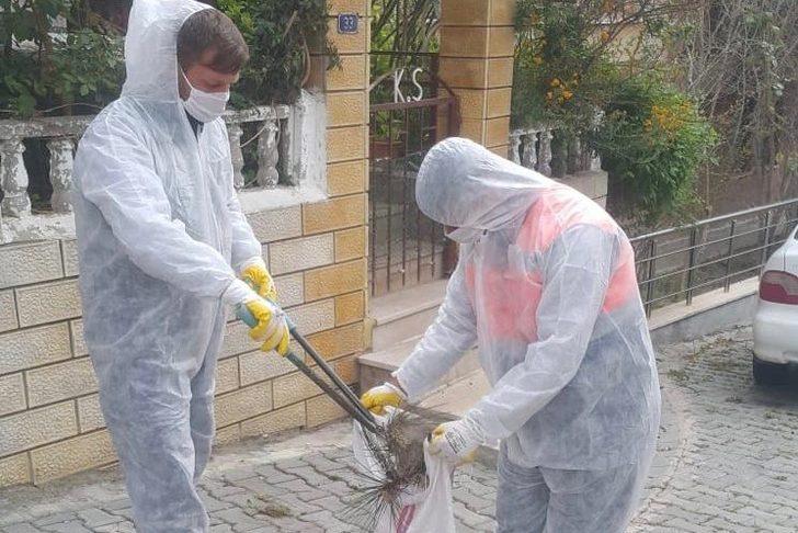 Tekirdağ’da çam kese böceğiyle mücadele G2