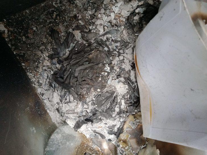 Mezarlıktaki Yasin cüzleri ve Kuranı Kerim CD’lerini yaktılar G4