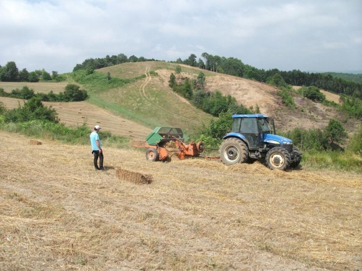 B&uuml;y&uuml;kşehir&rsquo;in y&uuml;zde 50 hibeli tohum desteği &ccedil;ift&ccedil;ilere ulaştırıldı