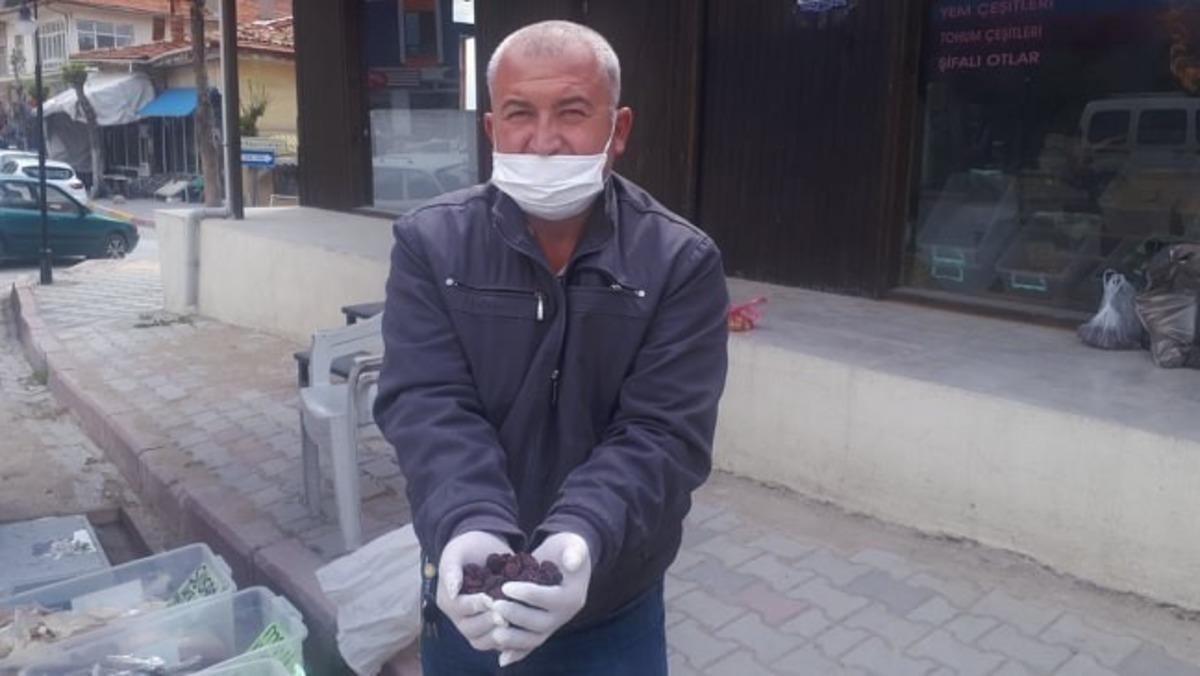 Dağlardan topladığı eriği kurutup satıyor