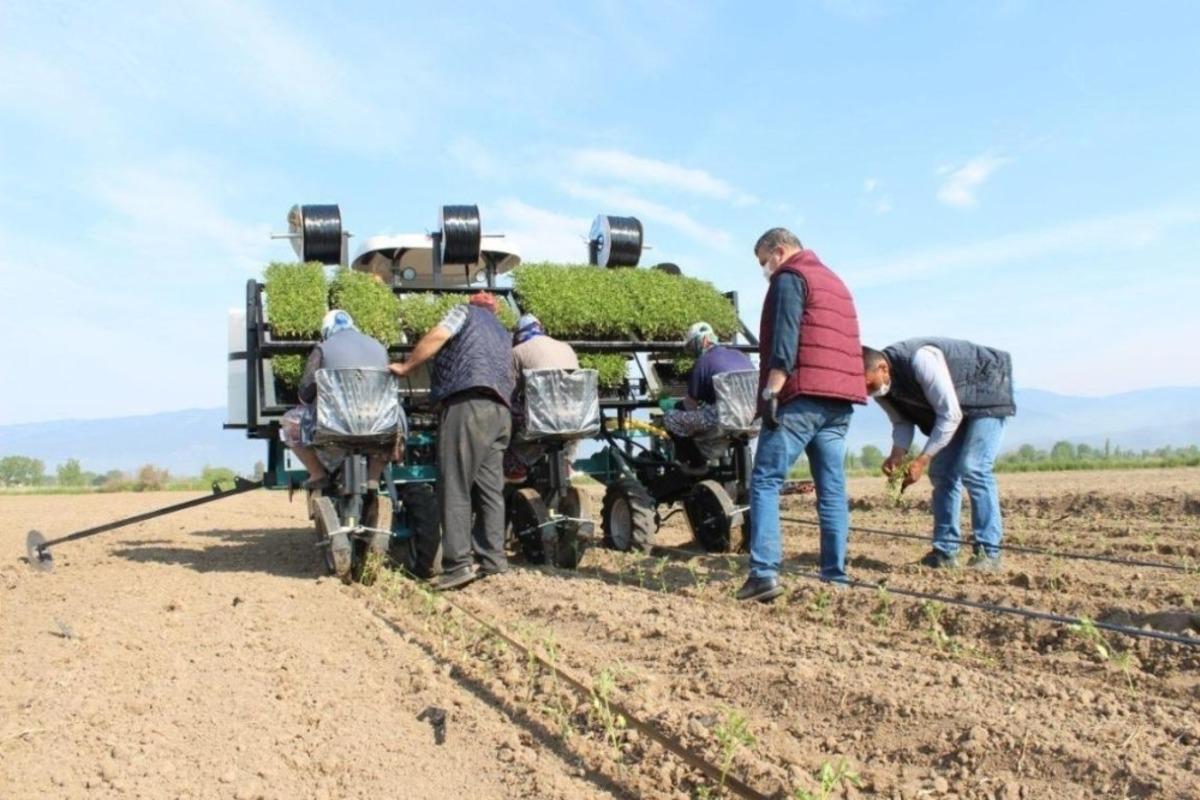 Edremit Belediyesi&rsquo;nden tarıma ciddi yatırım
