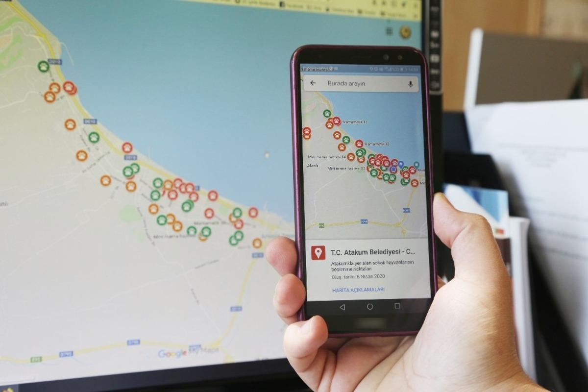 Sokak canlıları i&ccedil;in Atakum&rsquo;dan dijital besleme noktaları haritası