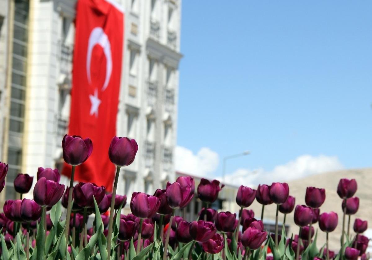 Van&rsquo;da şimdi &lsquo;lale mevsimi&rsquo;