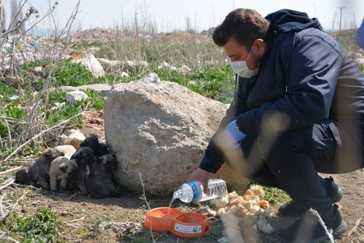 Afyonkarahisar&rsquo;da sokak hayvanlarına mama desteği