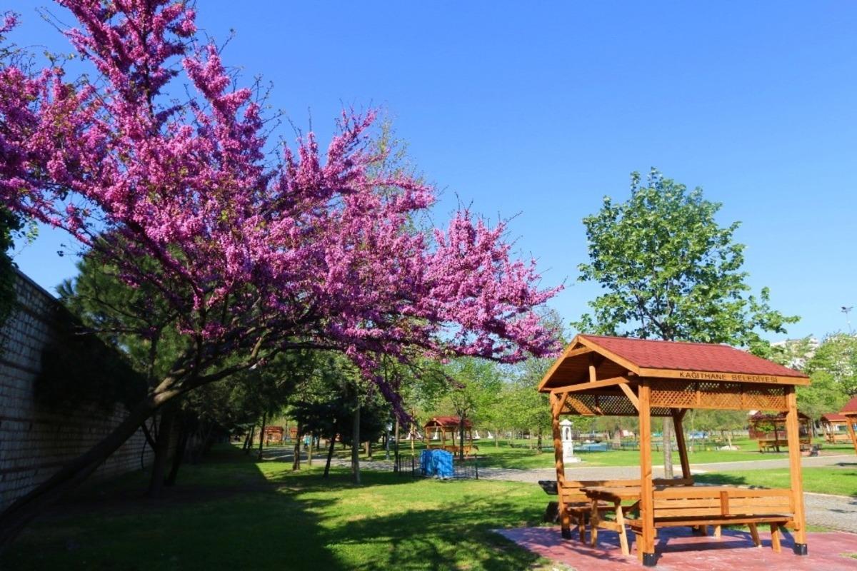 Kağıthane&rsquo;de baharın renk c&uuml;mb&uuml;ş&uuml;