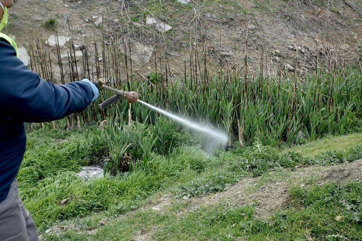 Tepebaşı’nda haşere ile mücadele çalışmaları G3