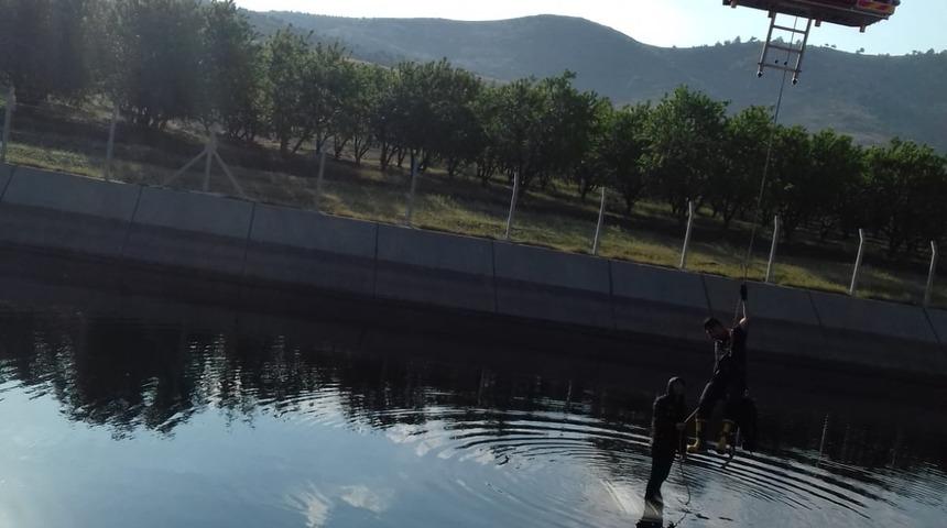 Kanala uçtu, otomobilinin üzerinde kurtarılmayı bekledi