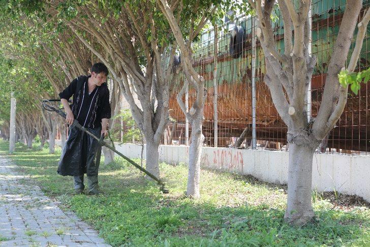 Erdemli Belediyesi ilçeyi bahara hazırlıyor G2