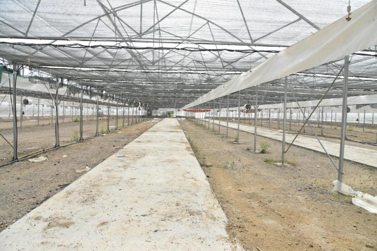 Peyzajda kullanacakları bitkileri kendileri &uuml;retecek