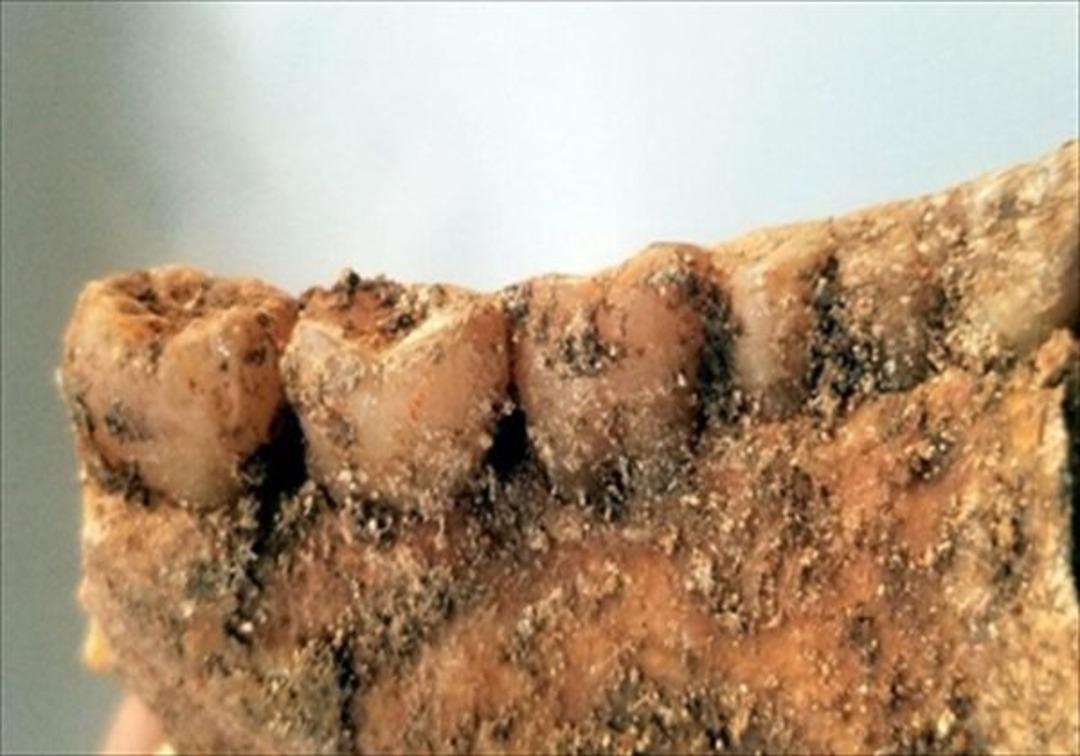 Koronavir&uuml;sten &ouml;len kişiyi defnederken buldular! Part İmparatorluğu'na ait