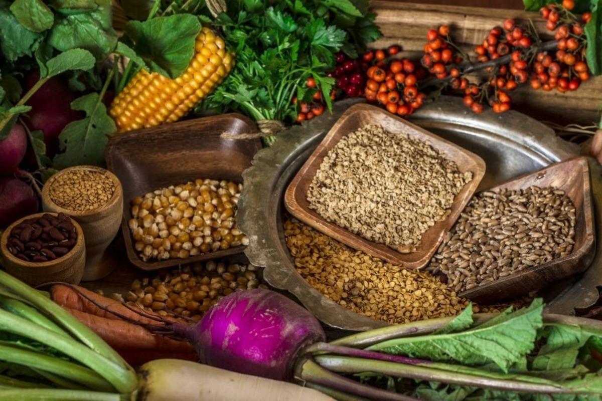 Aydın B&uuml;y&uuml;kşehir Belediyesi milyonlarca fide dağıttı