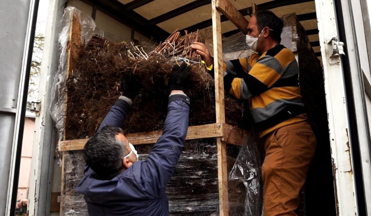 125 bin ahududu fidanı &uuml;reticiyle buluştu