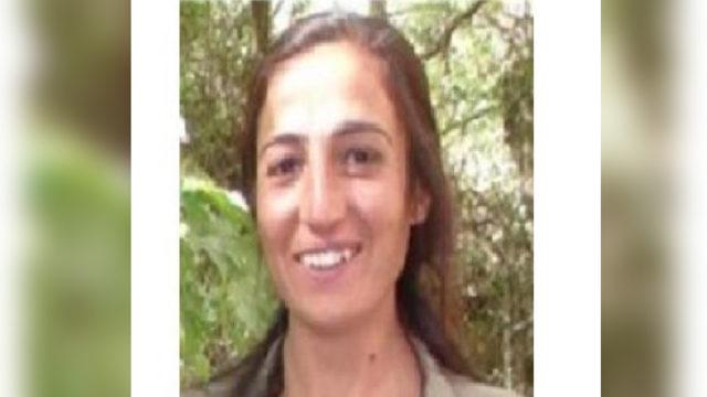 Kırmızı listede aranıyordu! PKK'lı terörist Hafize Özdemir mağarada kanserden öldü