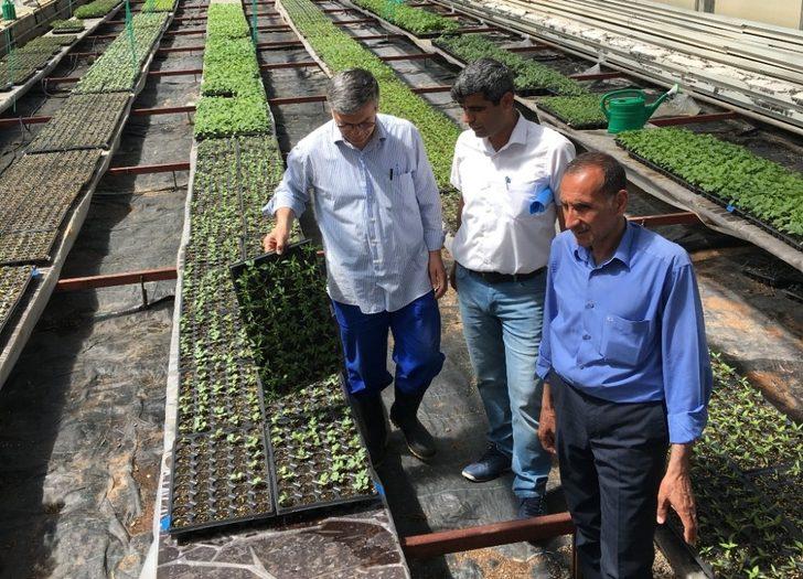 Bingöl Üniversitesinde  fide üretimi G2