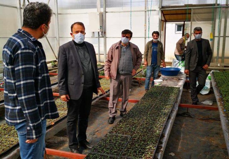 Bingöl Üniversitesinde  fide üretimi G3