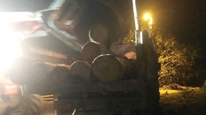 Kaçak orman kesimine 2 gözlatı