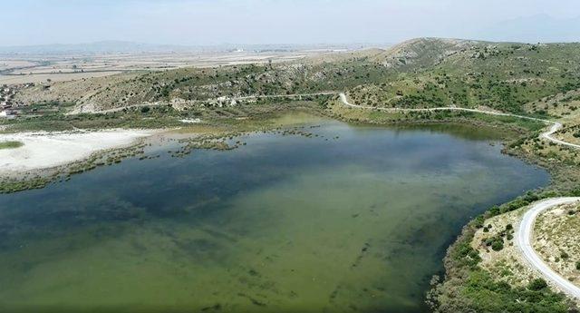 Aydın’da yaban hayatı drone ile korunuyor