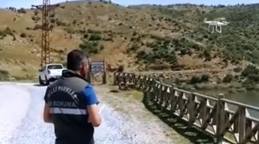 Aydın&rsquo;da yaban hayatı drone ile korunuyor