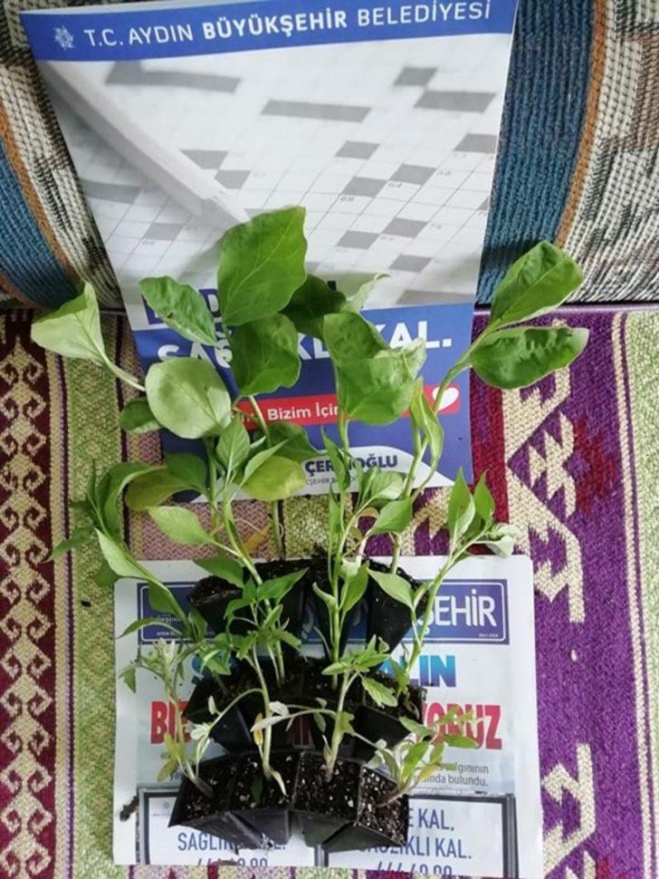 TEMA Vakfı Aydın İl Temsilcisi Özdemir’den Çerçioğlu’na teşekkür G2