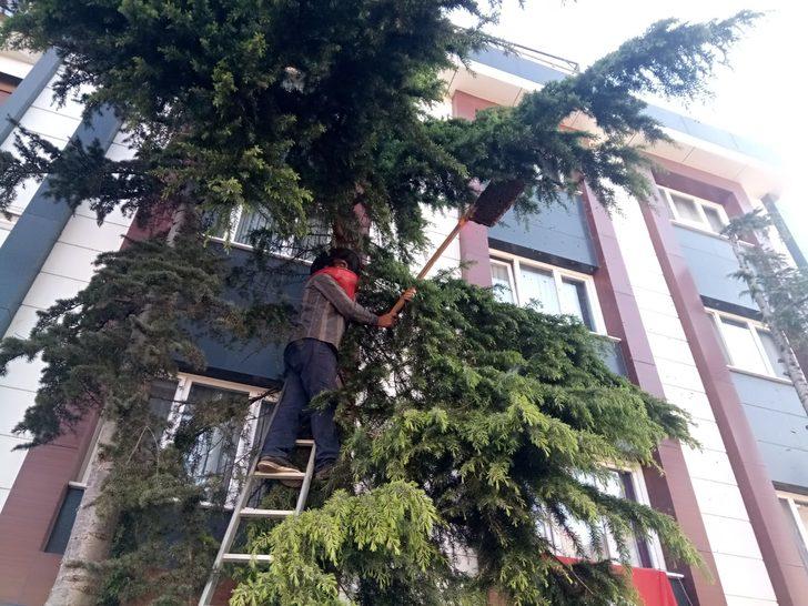 Üsküdar'da arı paniği G3