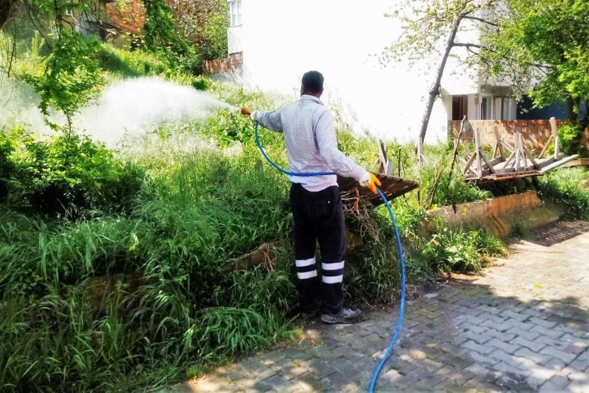 S&uuml;leymanpaşa&rsquo;da yaza hazırlık