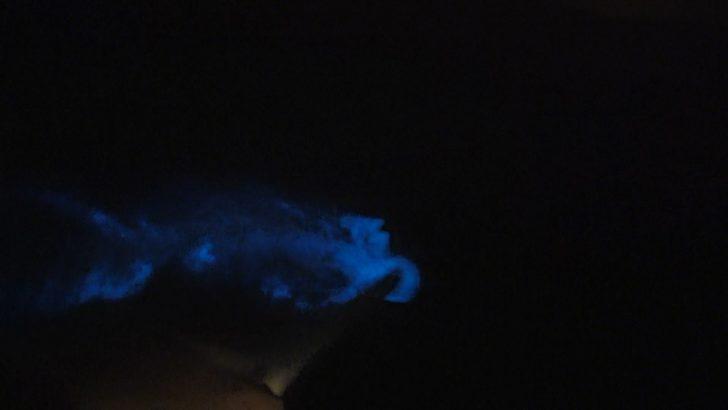 Büyükçekmece sahilinde 'mavi ışık' paniği: 'Bildiğim tüm duaları okudum, koşarak kaçtım' G2