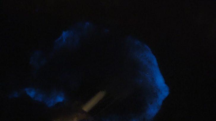 Büyükçekmece sahilinde 'mavi ışık' paniği: 'Bildiğim tüm duaları okudum, koşarak kaçtım' G4