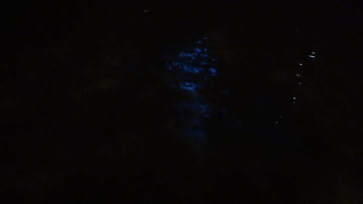 Büyükçekmece sahilinde 'mavi ışık' paniği: 'Bildiğim tüm duaları okudum, koşarak kaçtım' G5