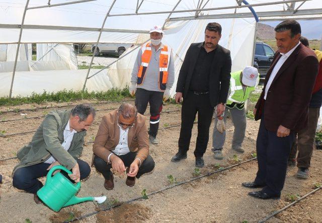 Başkan Tanış fideleri toprakla buluşturdu