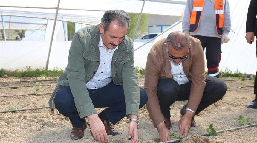 Başkan Tanış fideleri toprakla buluşturdu