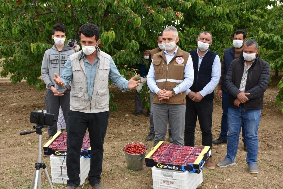 Bakan Pakdemirli kiraz &uuml;reticileri ile telekonferansta g&ouml;r&uuml;şt&uuml;