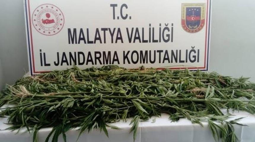 Ka&ccedil;ak kenevir ele ge&ccedil;irildi