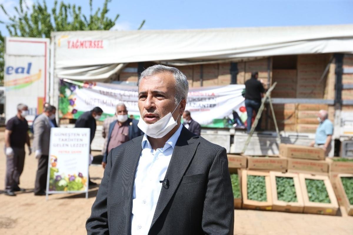 B&uuml;y&uuml;kşehir 5 milyon fide dağıtımını tamamladı