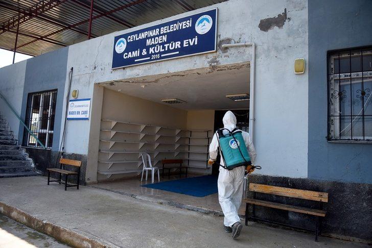 Ceylanpınar’da karantinaya alınan mahalle ilaçlandı G4