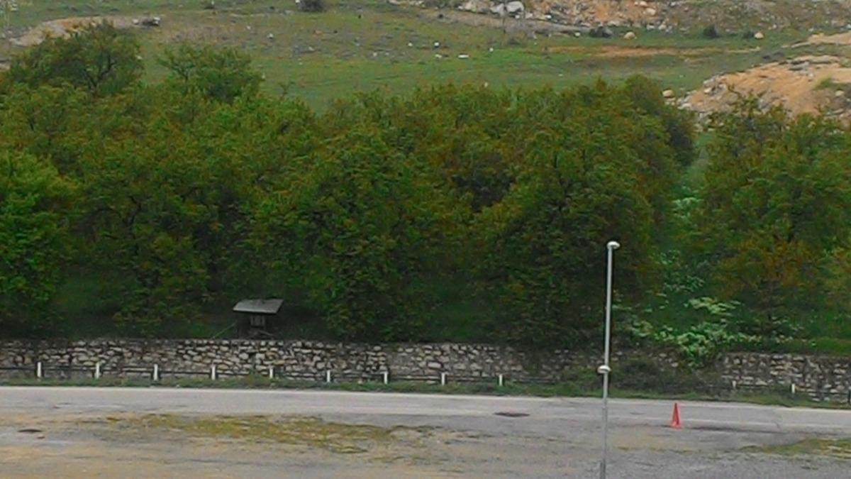 Darende&rsquo;de zirai don ve monilya hastalığı kayısılarda sorun