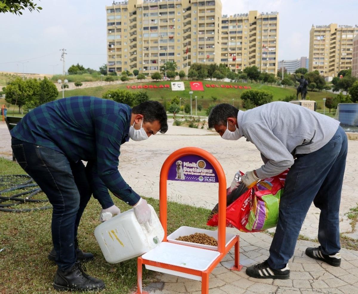 Toroslar Belediyesi, her g&uuml;n sokak hayvanları i&ccedil;in beslenme odaklarına mama bırakıyor