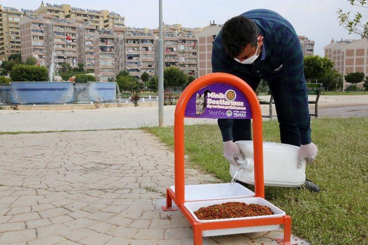 Toroslar Belediyesi, her gün sokak hayvanları için beslenme odaklarına mama bırakıyor G4