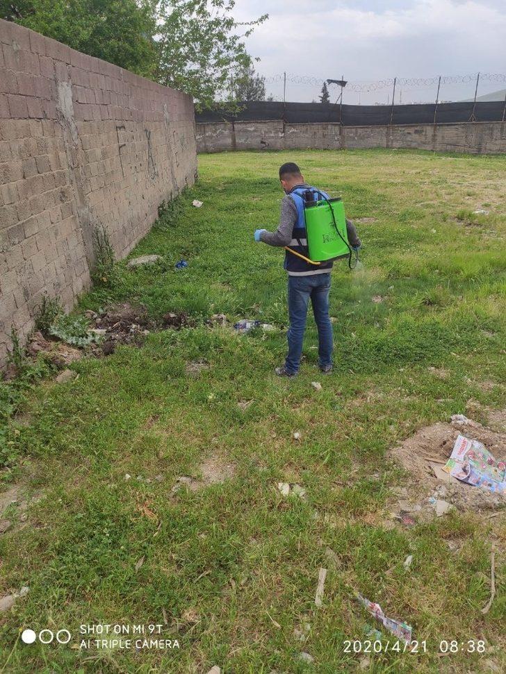 Cizre Belediyesi ilaçlama çalışmalarına devam ediyor G2