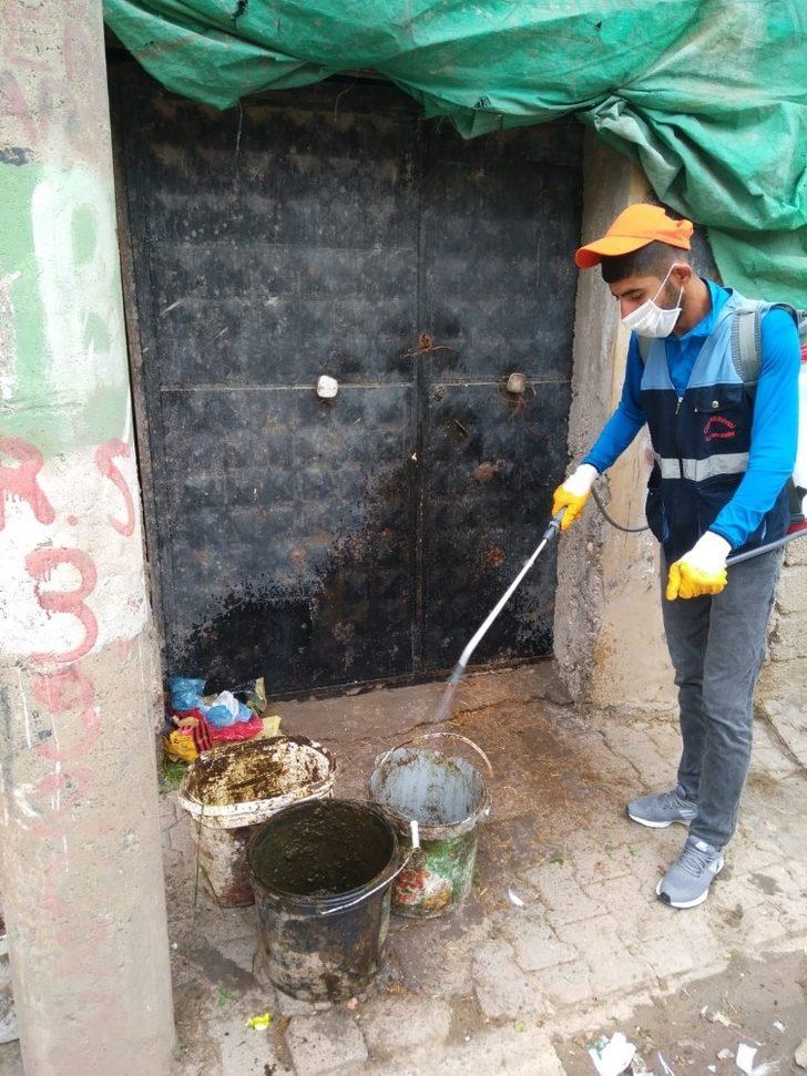 Cizre Belediyesi ilaçlama çalışmalarına devam ediyor G3