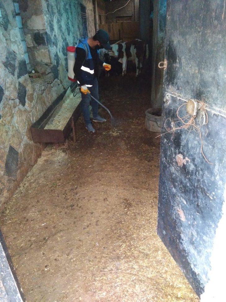 Cizre Belediyesi ilaçlama çalışmalarına devam ediyor G4