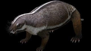 Fosilini buldular, 'çılgın yaratık' adını verdiler