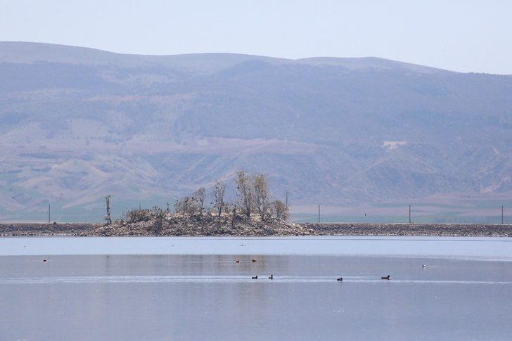Suluova Yedikır, 100’den fazla kuş türüne ev sahipliği yapıyor G2