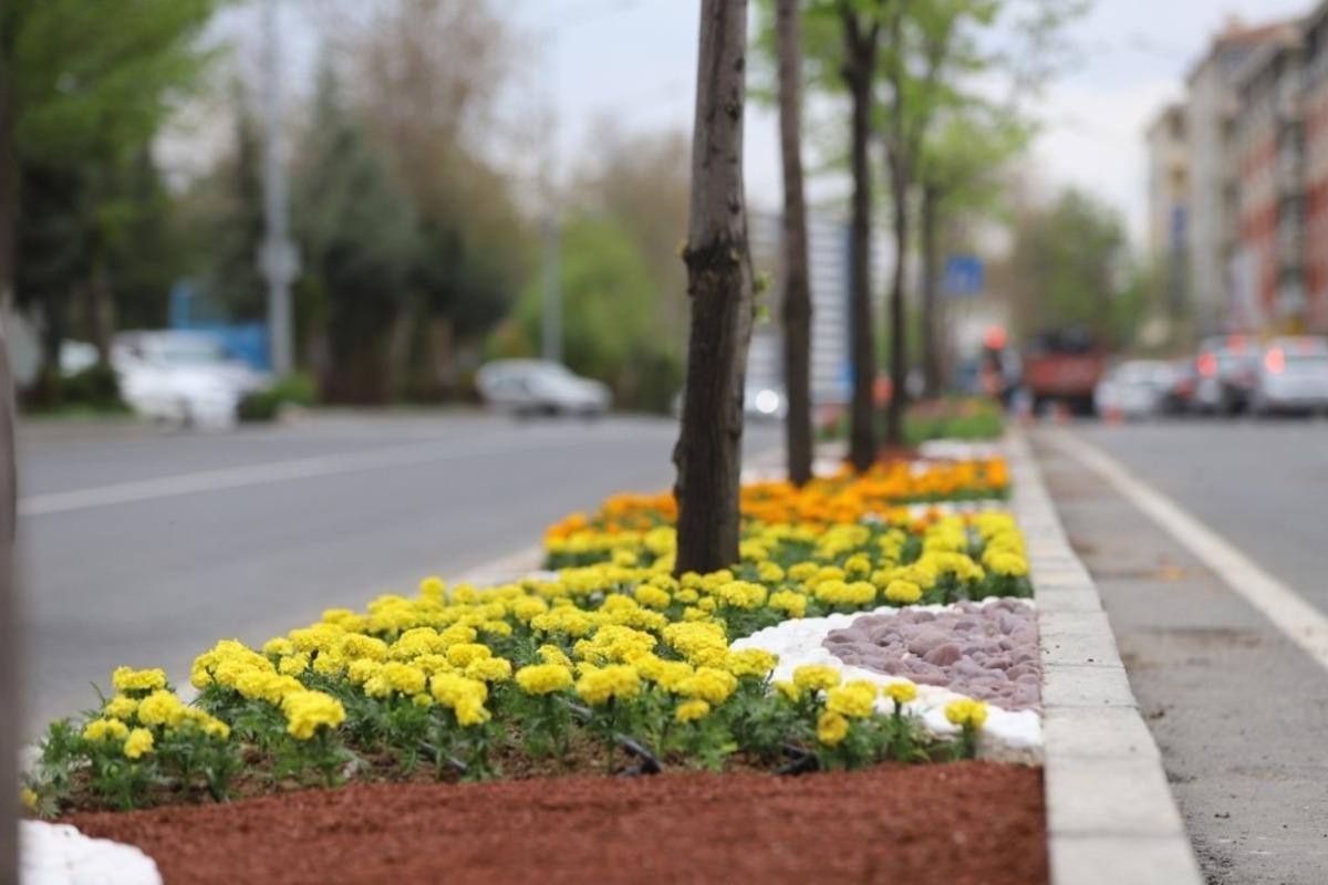 Kavşak ve ref&uuml;jlerde bahar g&uuml;zelliği
