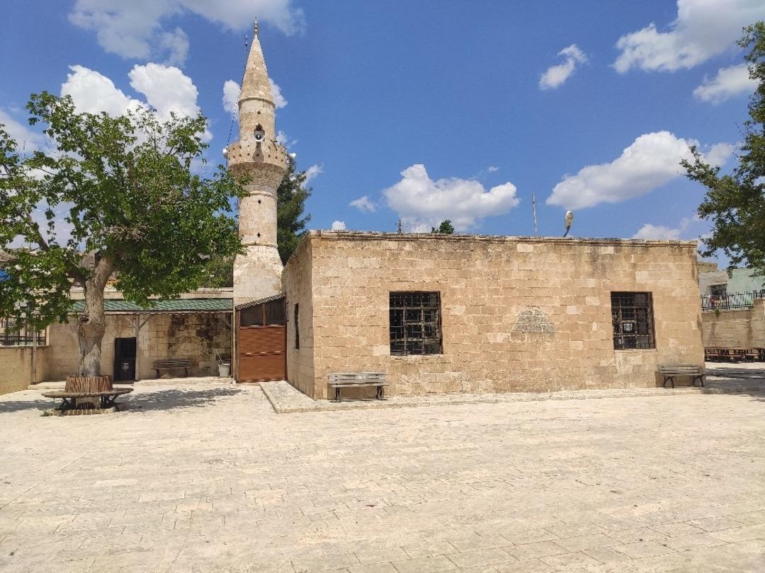 Korona vir&uuml;s t&uuml;rbe ziyaretlerini de vurdu